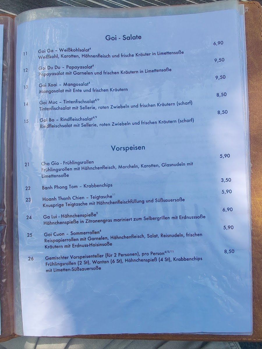 Menu Ho Restaurant - Vietnamesische Spezialitäten-8